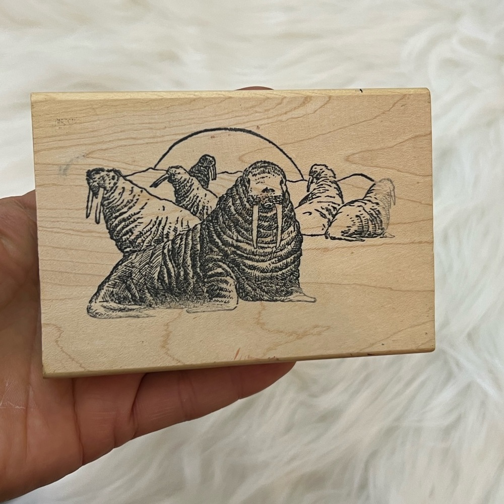Beach Walrus Walruses Wood Mounted Rubber Stamp